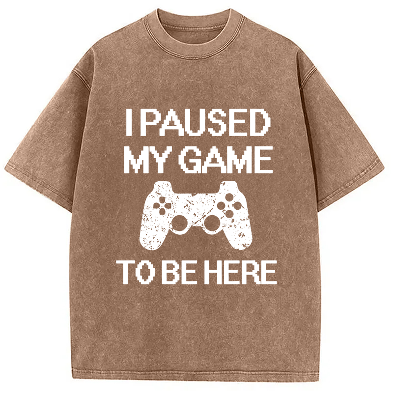 Modecanvas I Paused My Game To Be Here DTG Printing Washed T-Shirt