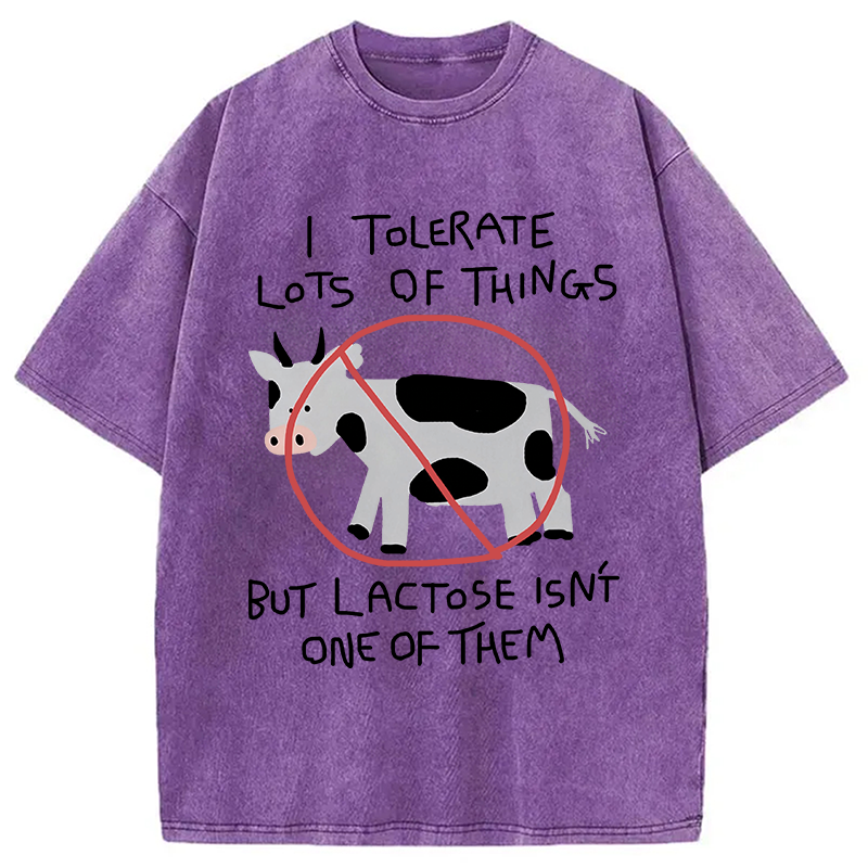 Modecanvas I Tolerate Lots Of Things DTG Printing Washed T-Shirt