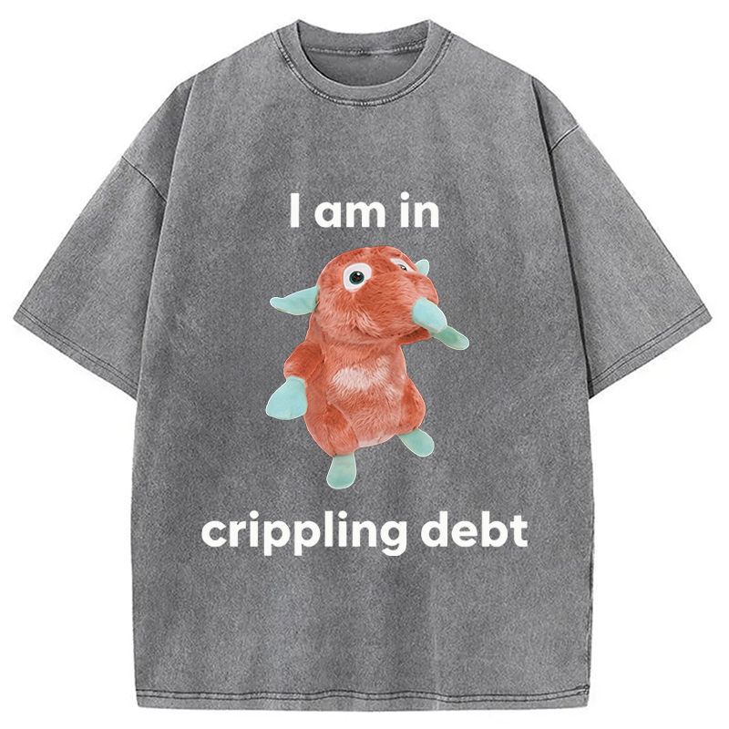 Modecanvas I Am In Crippling Debt Funny Meme DTG Printing Washed T-Shirt
