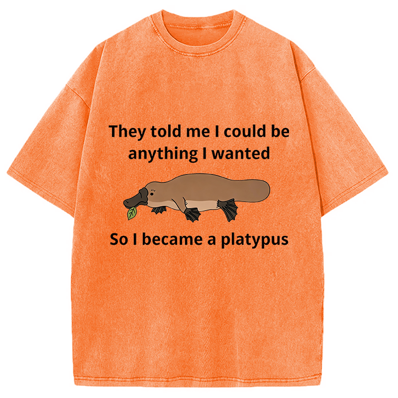 Modecanvas I Became A Platypus DTG Printing Washed T-Shirt