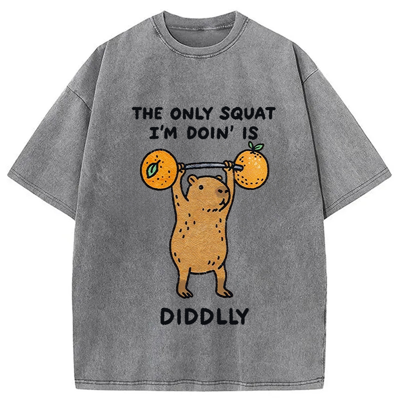 Modecanvas Diddly Capybara Washed T-Shirt