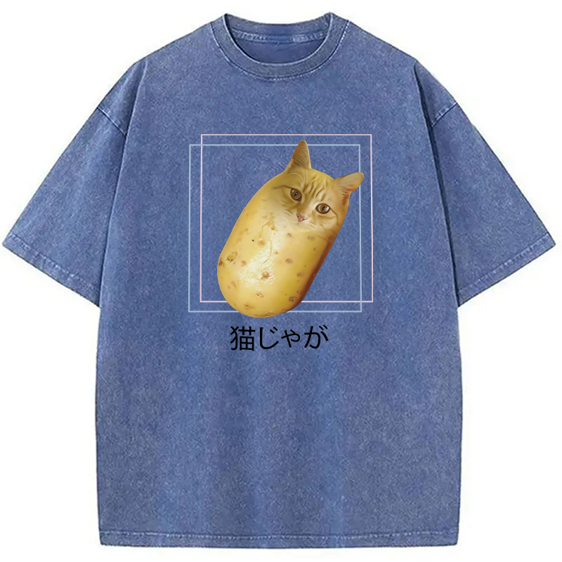 Modecanvas Silly Potato Cat Funny Meme Washed T-Shirt
