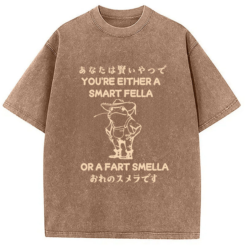 Modecanvas Are You A Smart Fella Or Fart Smella Washed T-Shirt-modecanvas