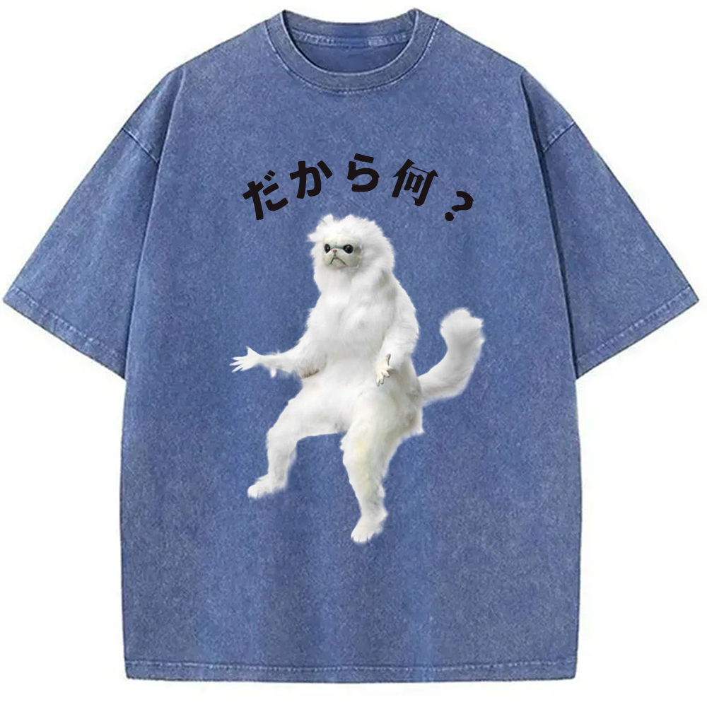 Modecanvas So What White Cat Meme Washed T-Shirt