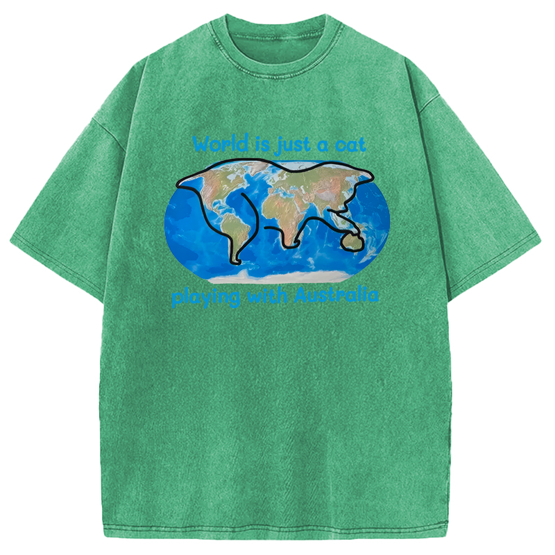 Modecanvas World is Just a Cat DTG Printing Washed T-Shirt