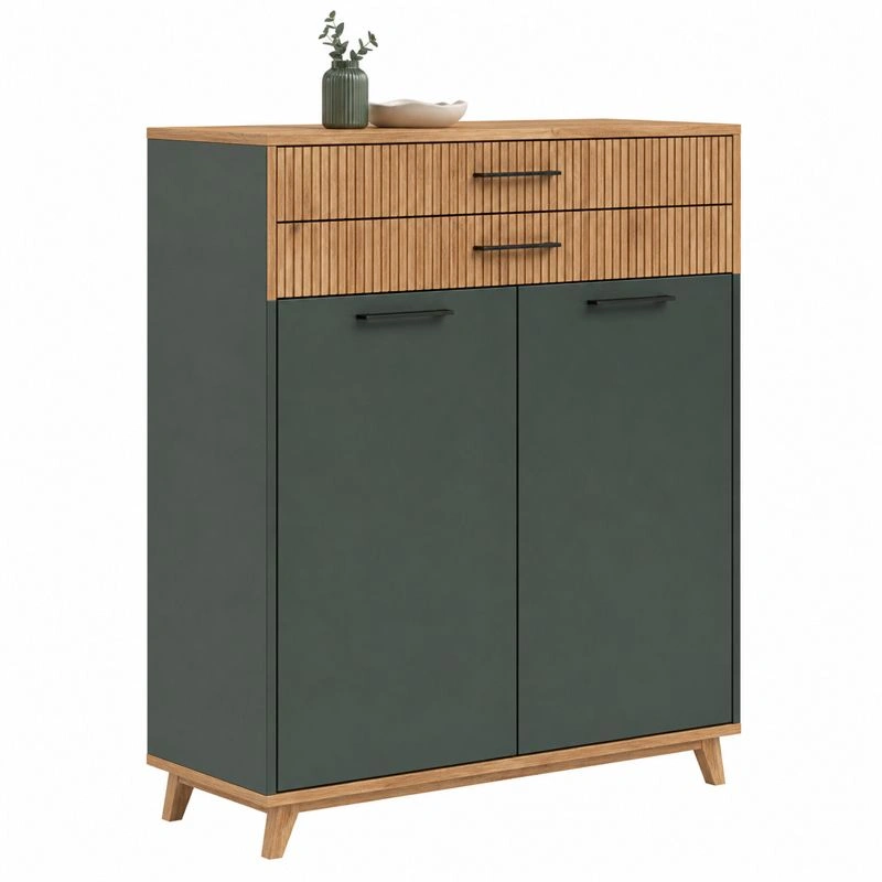 Schuhkommode mit 2 Tueren und 2 Schubladen Modernes Design Dunkelgruen Holzoptik 90x104x37 cm-ordermovo