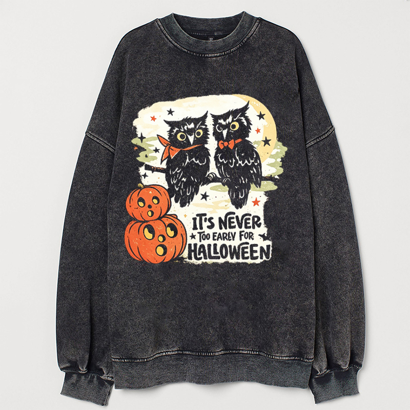 Vintage Owls And Pumpkin Sweatshirt