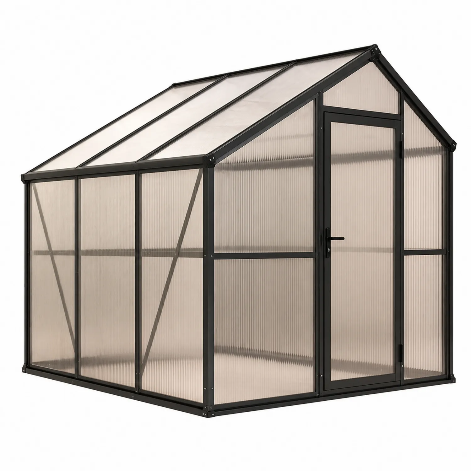 Serre en polycarbonate transparent avec cadre en aluminium