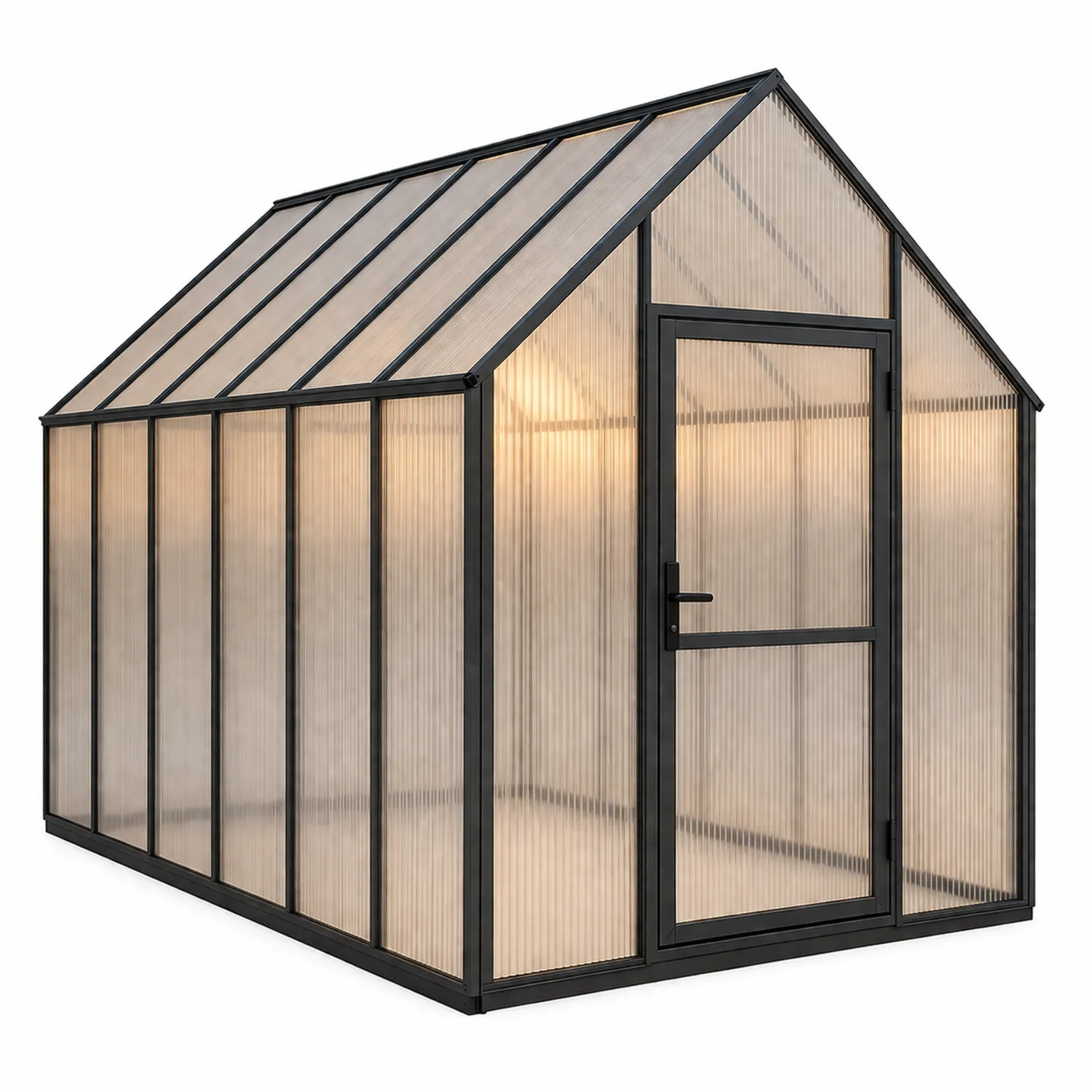 Serre de jardin en polycarbonate et aluminium 250x190x195 cm Transparent
