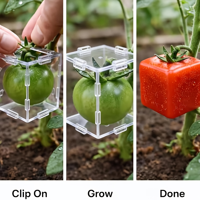 Reusable Transparent Portable Fruit Shaping Mold Suitable for Growing Apples, Strawberries, Citrus - Transparent Fruit Modeling for Garden, Hobbyists, Education & DIY Crafts, Reusable