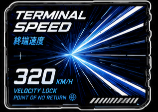 Terminal Speed