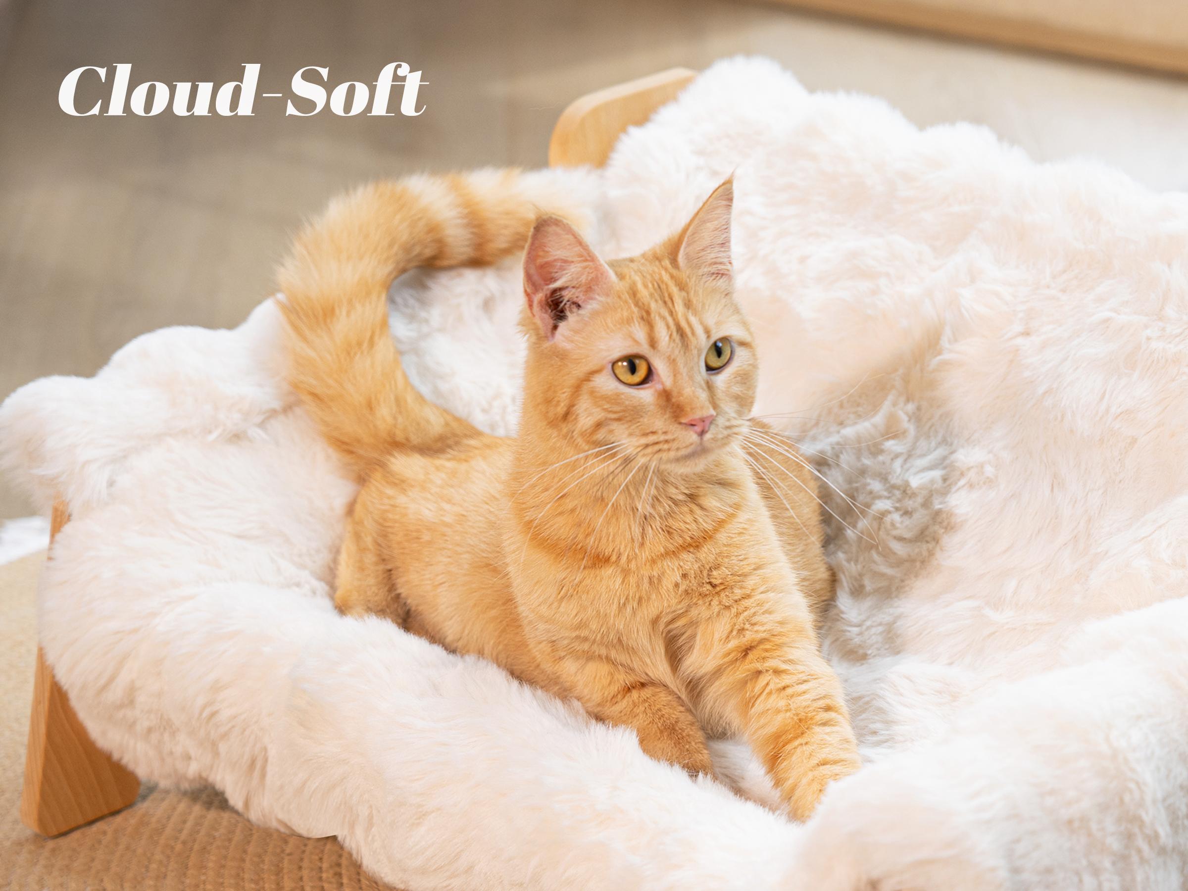 Elevated Pet Couch Bed, Solid Wood Sofa for Cat and Small Dog , Removable Washable Fluffy Cover Raised, Kitty Lounge Chair Suitable for Puppy for Indoor
