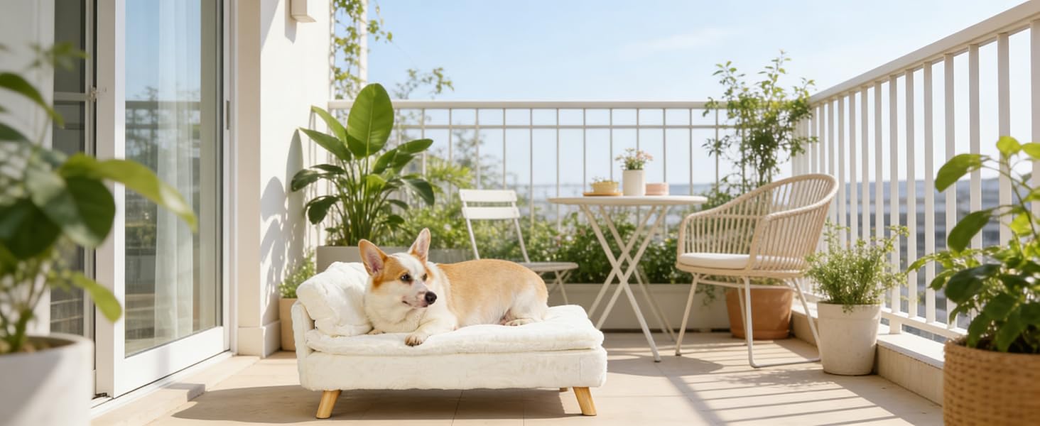 Elevated Dog Bed Couch Sofa: Wooden Dog Chair with Bolster Cushion for Small Dogs Cats Cute Pet Chaise Soft Cushion Washable, 31.7 x 18.9 Inches