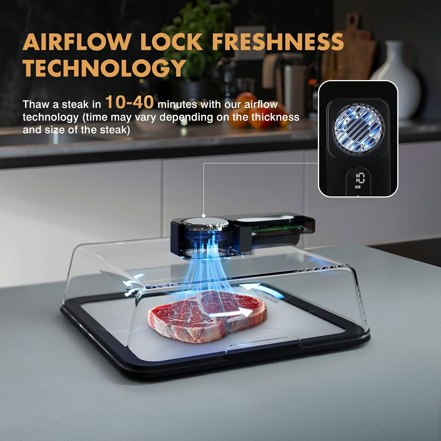 HULIABU Rapid Defrosting Tray for Frozen Meat, Meat Thawing Tray for Frozen Meat with Airflow Technology, Meat Defroster, Smart Defrosting Mat, Thawing Mat, No Microwaves, No Cold/Warm Water Required, White