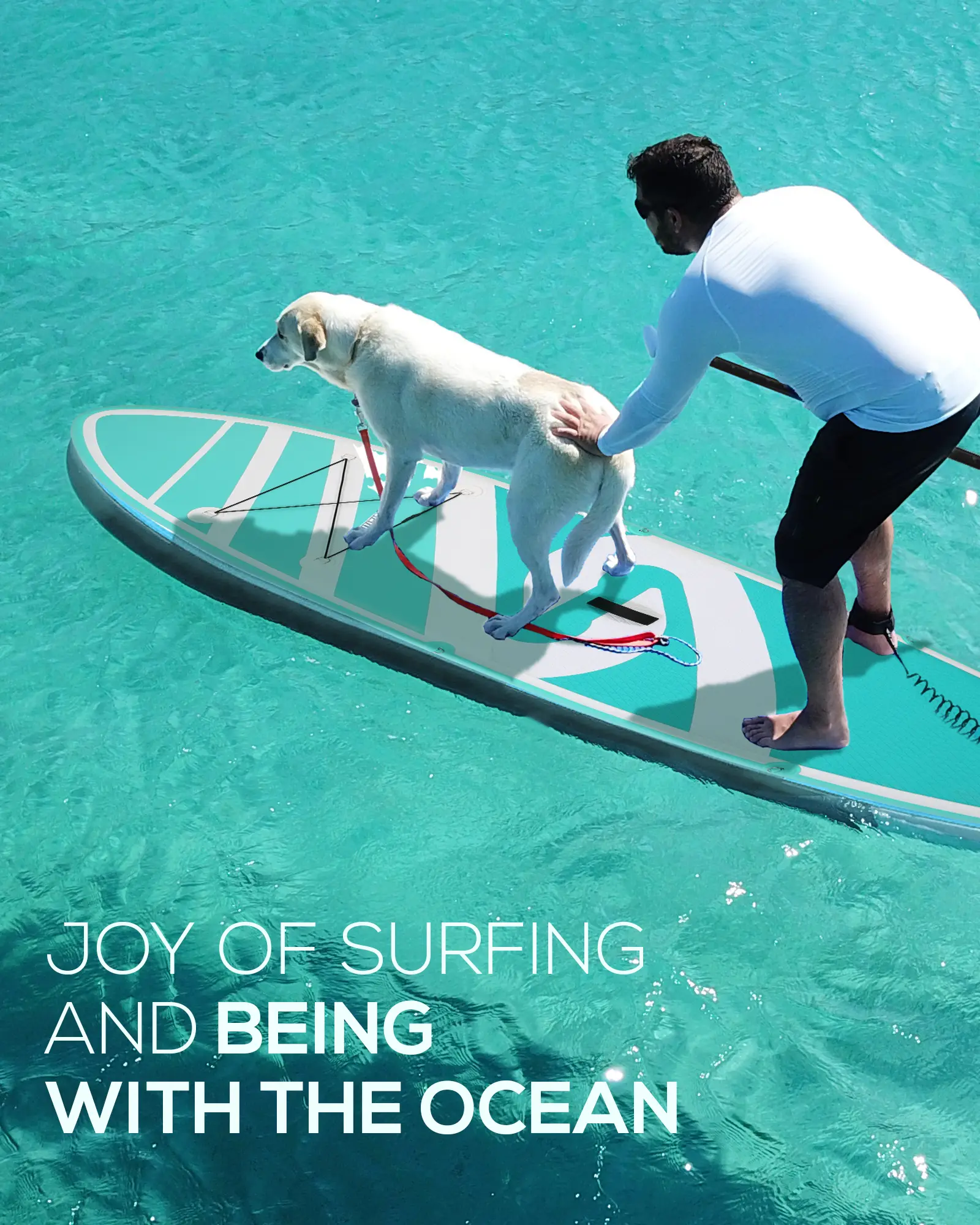 Inflatable Paddle Board Paddleboard Inflatable Stand Up Paddle Board SUP Board with Premium Full Accessories 120"x30"x6" for Youth & Adults Have Fun in Oceans, River and Lakes