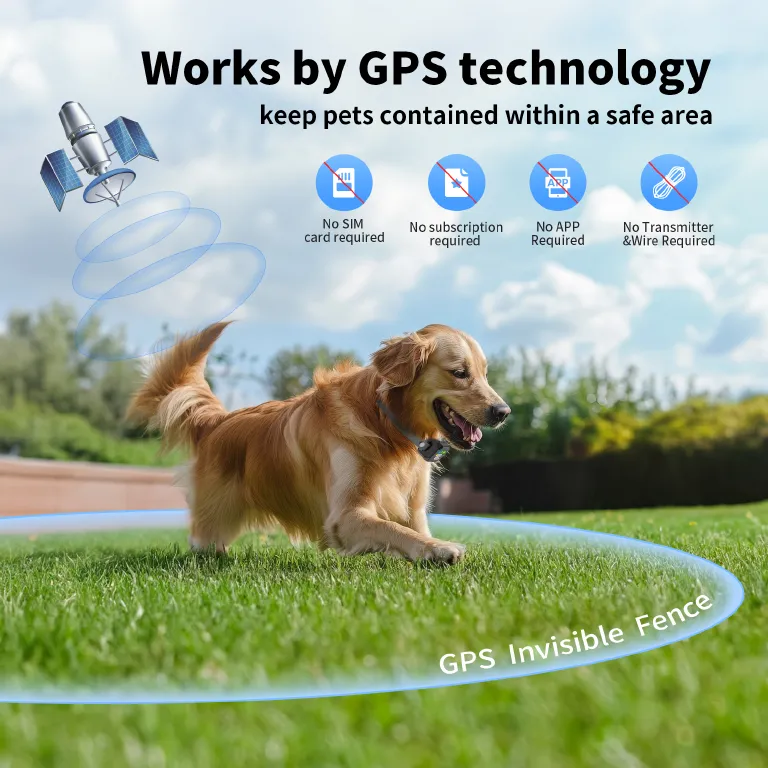 Elite GPS Dog Fence — For Small Medium & Large Dogs