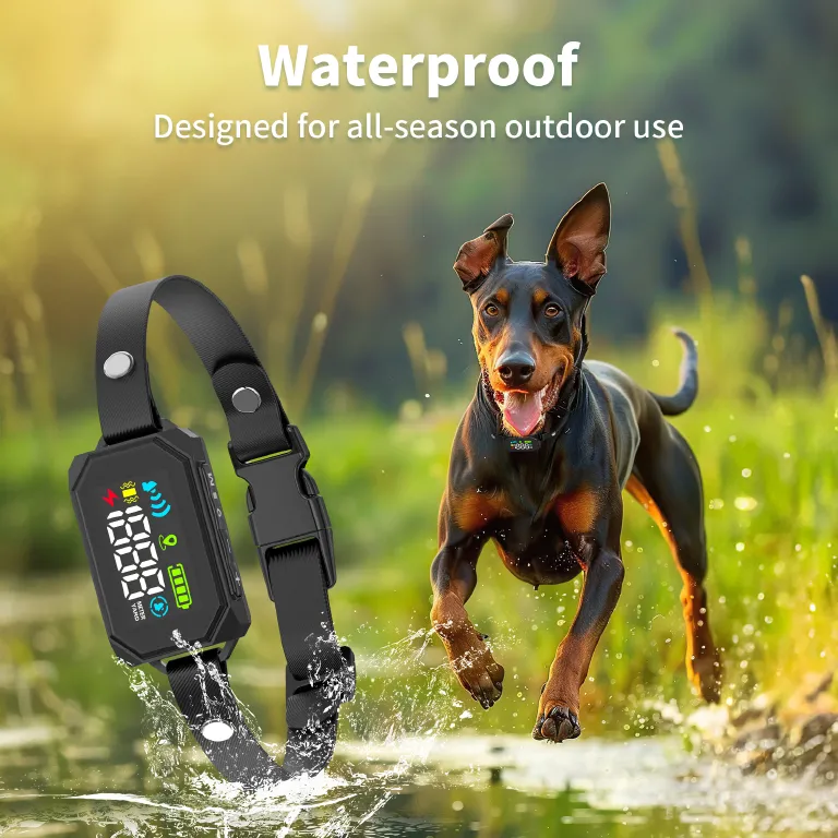 Elite GPS Dog Fence — For Small Medium & Large Dogs