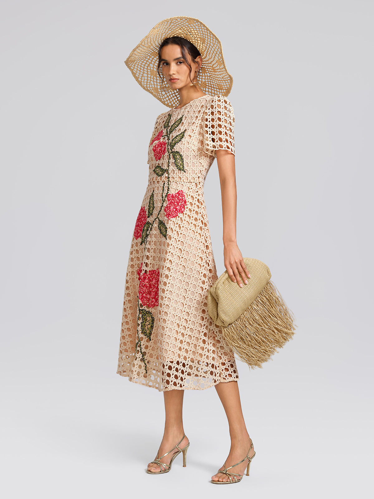 Embroidered Cutout A Line Dress