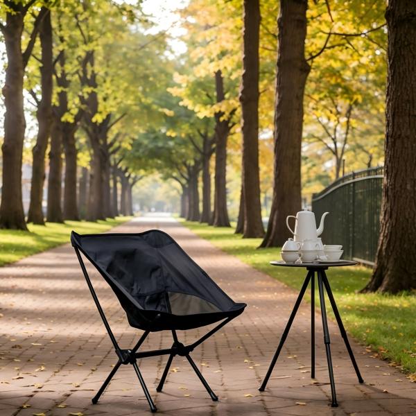 2 Pack Collapsible Camping Chair - Lightweight X-Frame Nonslip 300lb Outdoor Beach Chair, Portable Picnic Seat with Storage Carry Bag, Practical Holiday Party Gift for Backpacking, Collapsible Chair, 300Lb Chair