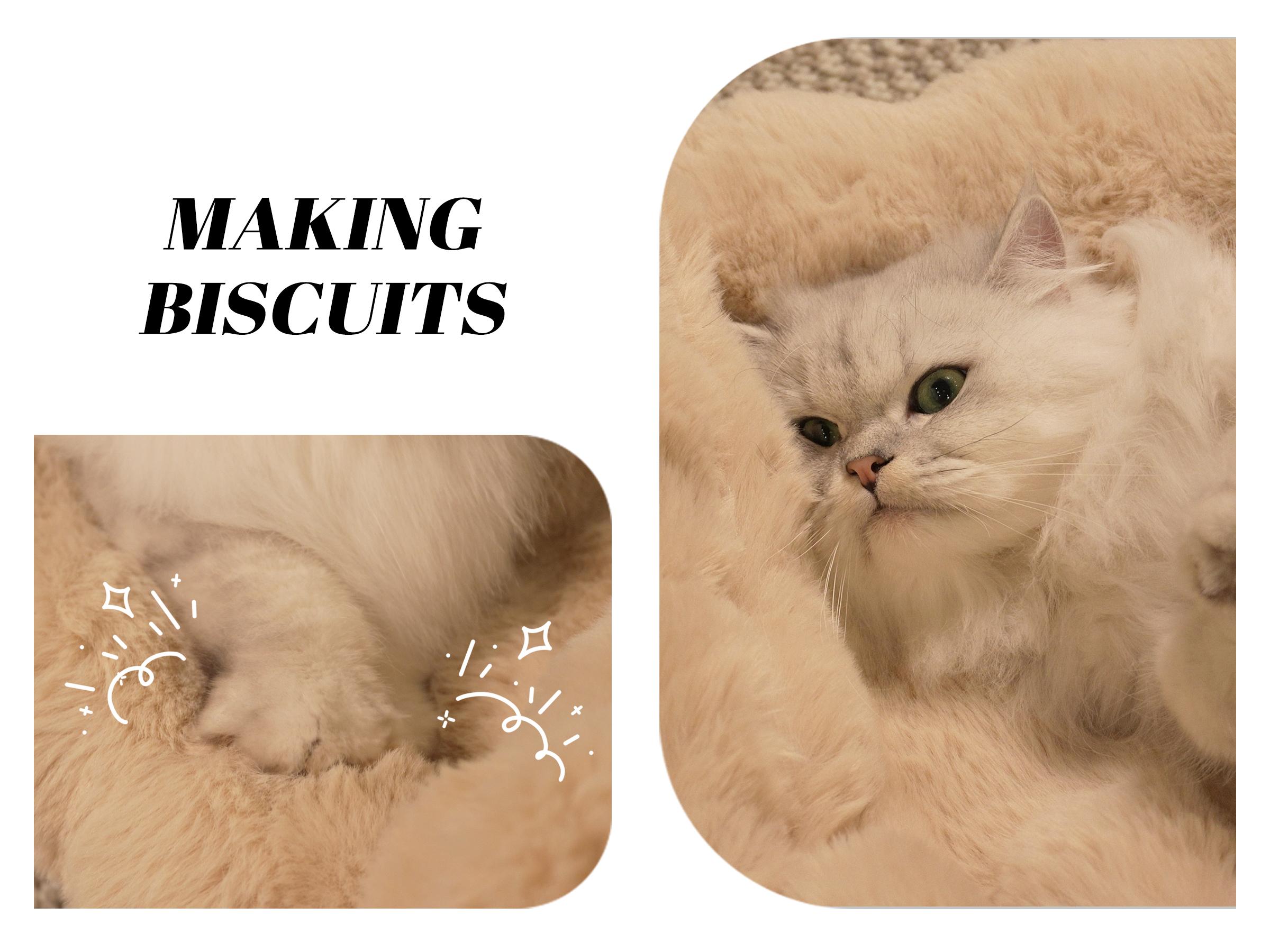 Elevated Pet Couch Bed, Solid Wood Sofa for Cat and Small Dog , Removable Washable Fluffy Cover Raised, Kitty Lounge Chair Suitable for Puppy for Indoor