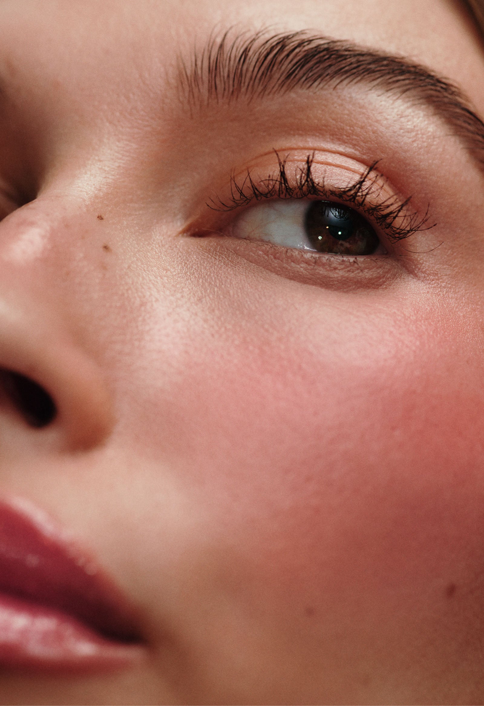 Blush Compact – Freckle