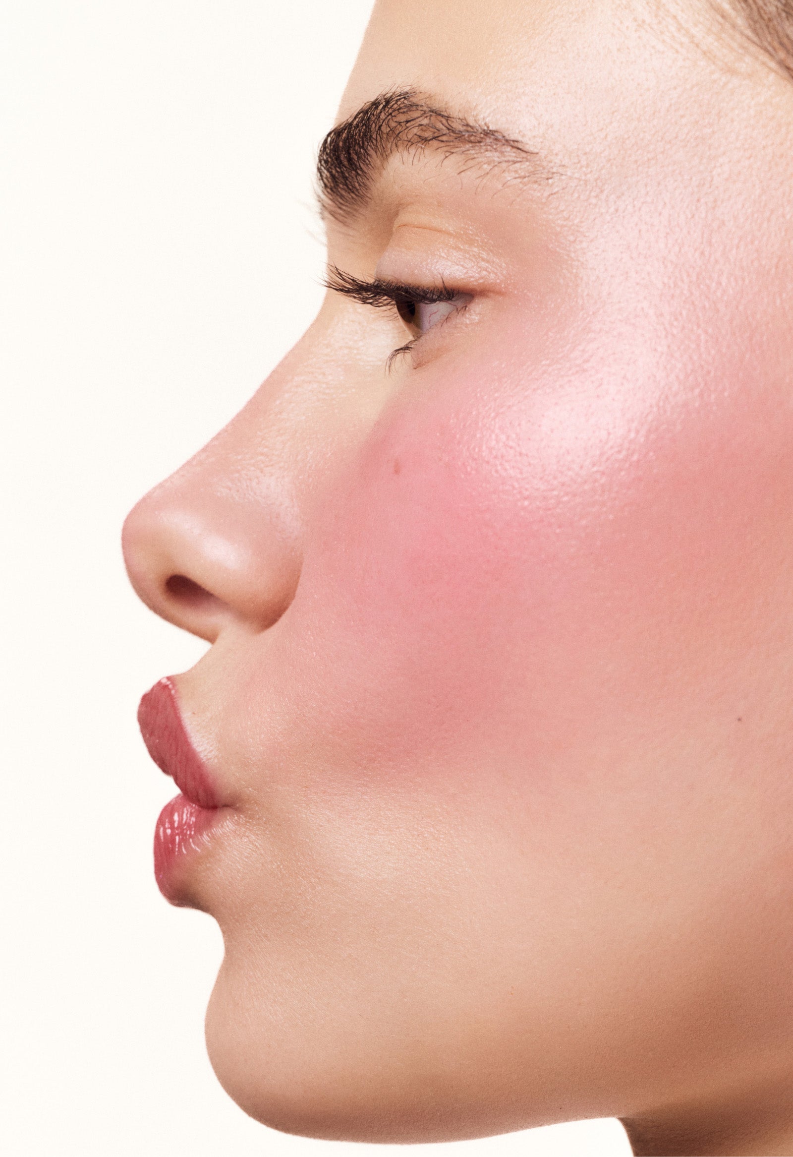Blush Compact – Blush Plum