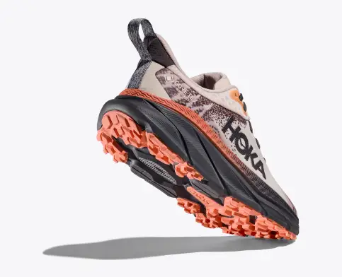hkhjgoka Challenger 7 GORE-TEX Cosmic pearl / Galaxy