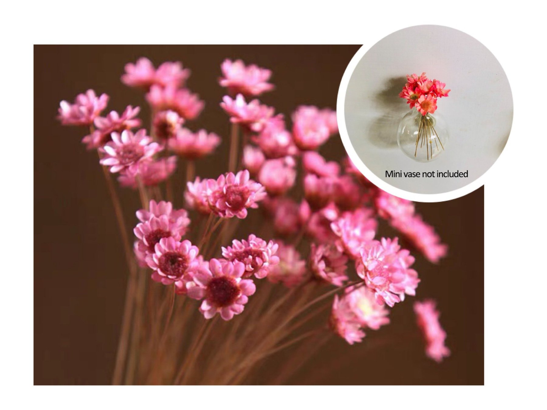 🎁HOT SALE- 49% OFF🔥 Mini Ceramics Vase Fridge Magnet