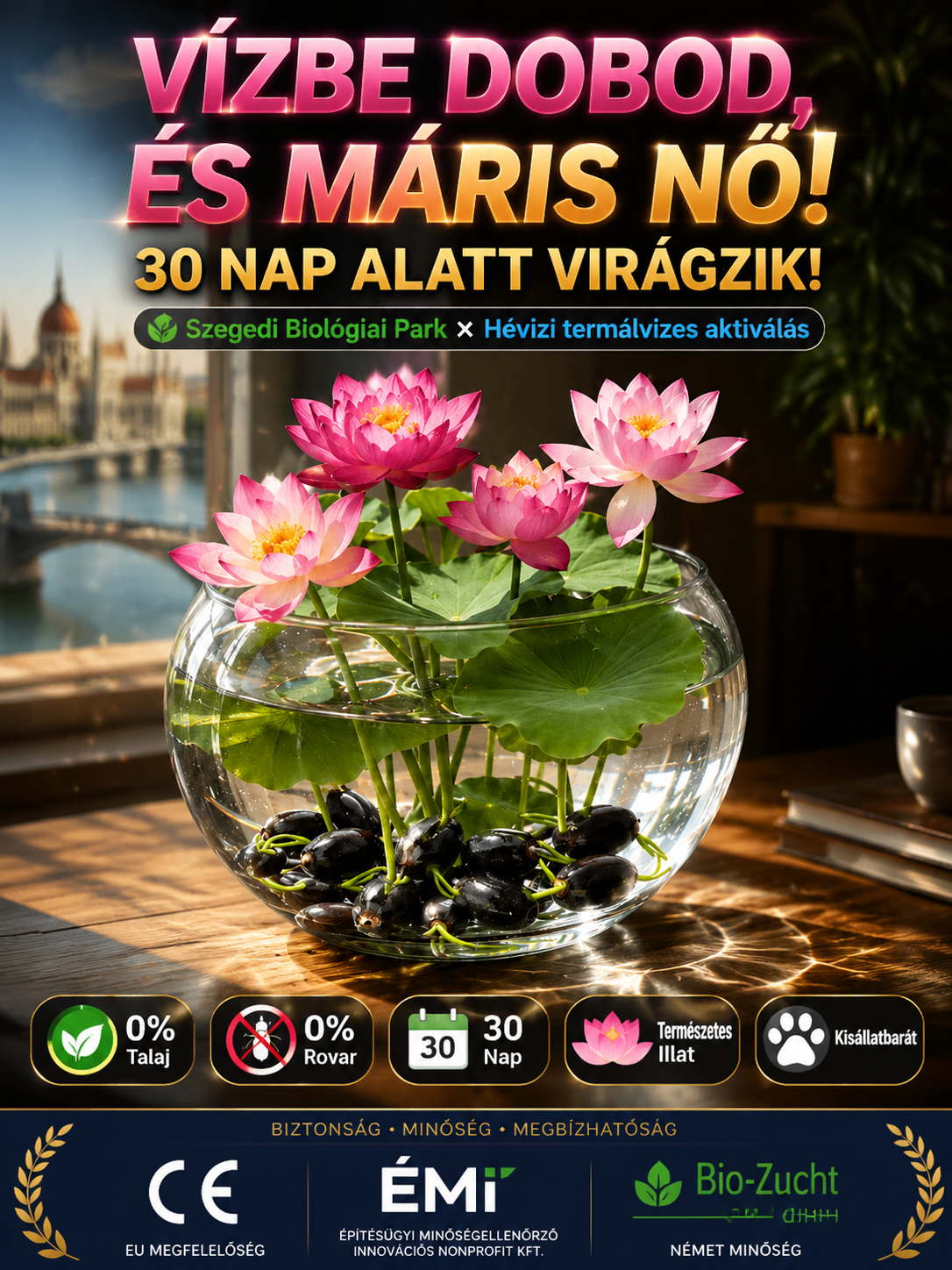 7ee3ad6c-248c-496a-aa2e-f6f679d8e569.png