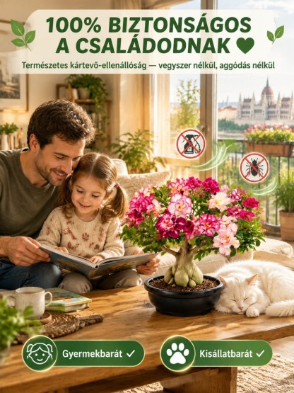 👍Prémium Sivatagi Rózsa Hagyma | 90 Nap Víz Nélkül is Virágzik (-70% Akció)