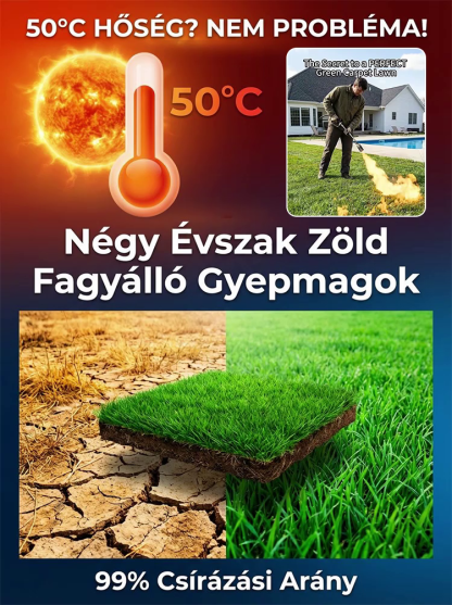 【99%-os csírázási arány】Négyszezoni hidegtűrő gyepmag