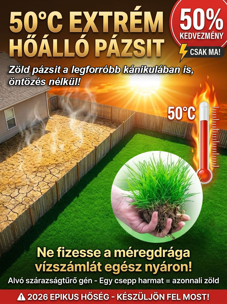 【99%-os csírázási arány】Négyszezoni hidegtűrő gyepmag