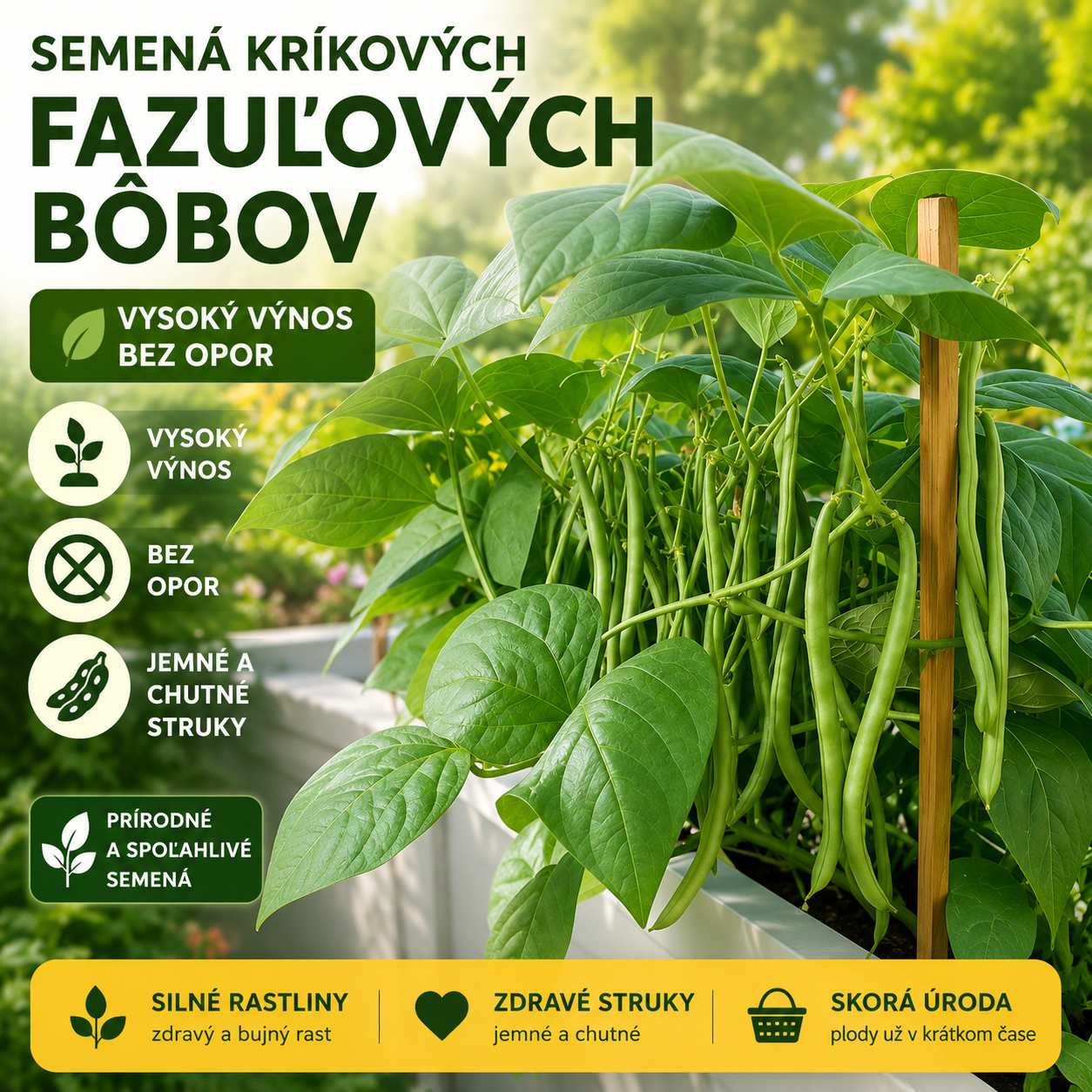 🔥 Semená fazule 🌱 | Vysoký výnos • Nie je potrebné oporiť • Ľahko sa pestuje (25 semien/balenie)