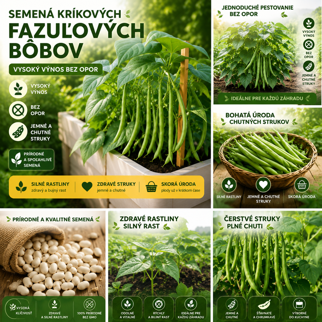 🔥 Semená fazule 🌱 | Vysoký výnos • Nie je potrebné oporiť • Ľahko sa pestuje (25 semien/balenie)
