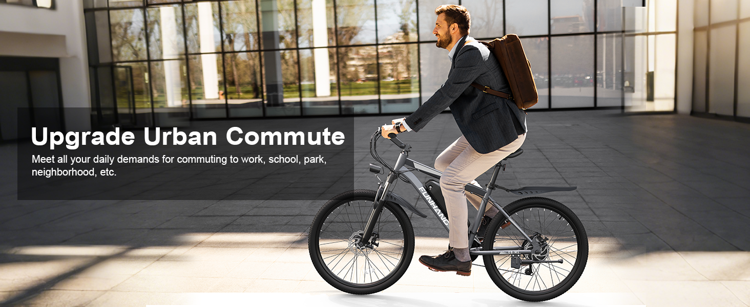 Adult Electric Bicycles