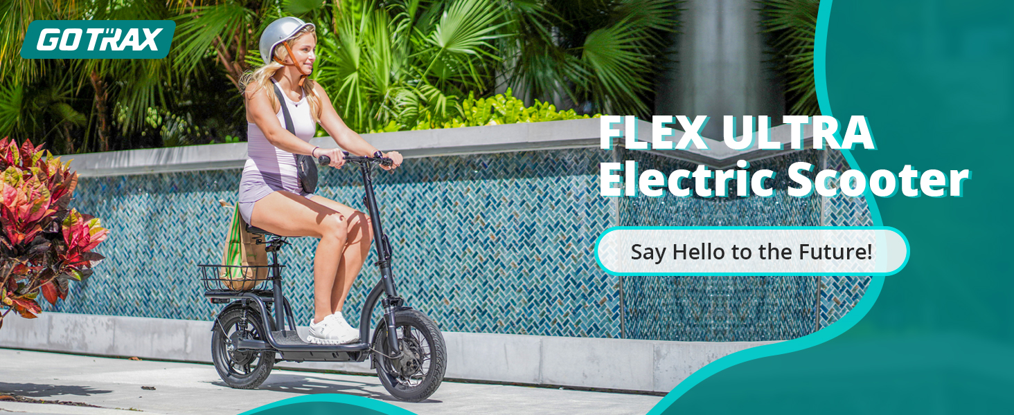 Gotrax electric scooter