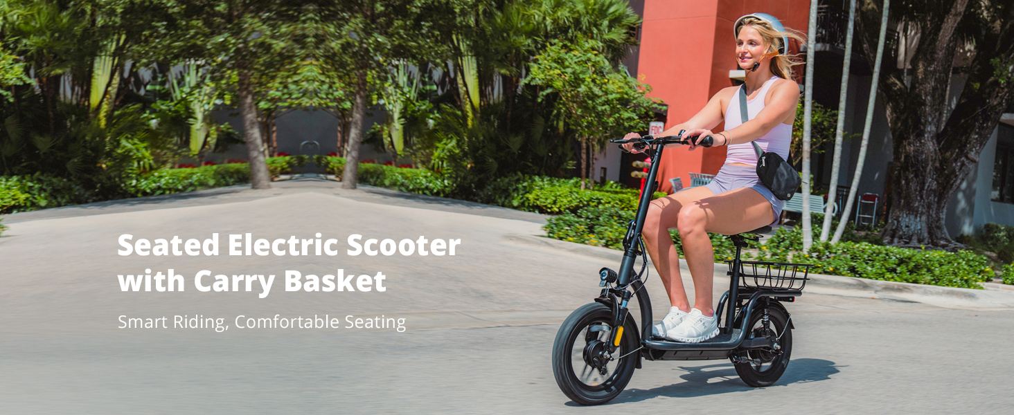 electric scooter