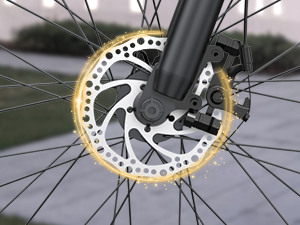 Dual Disc Brakes