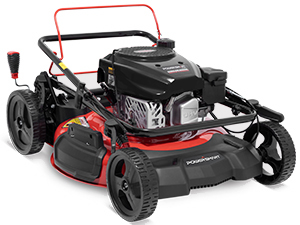 gas lawn mower