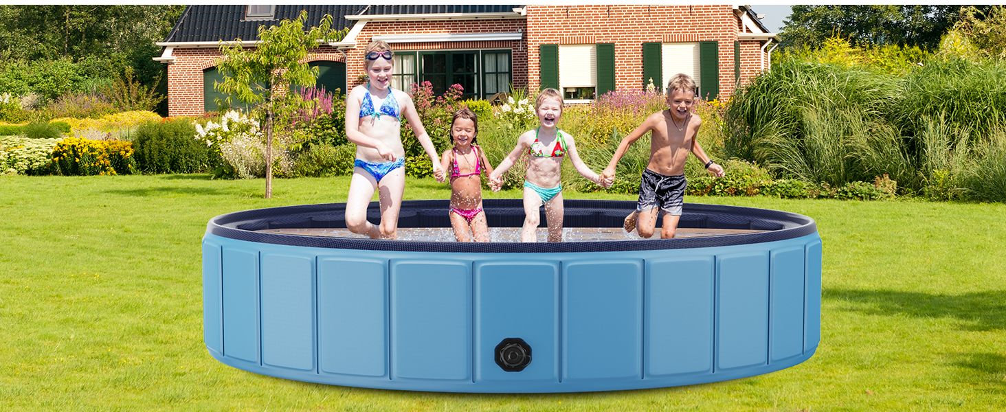 dog pool