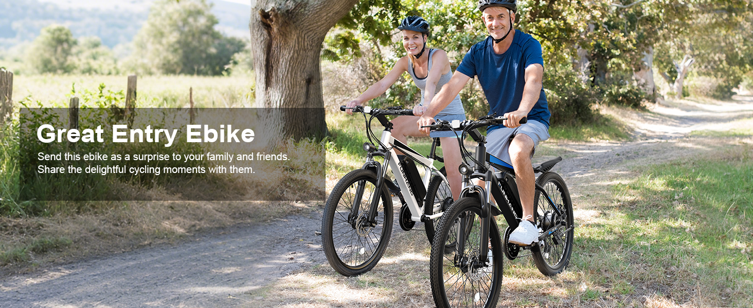 Entry Level Electric Bike