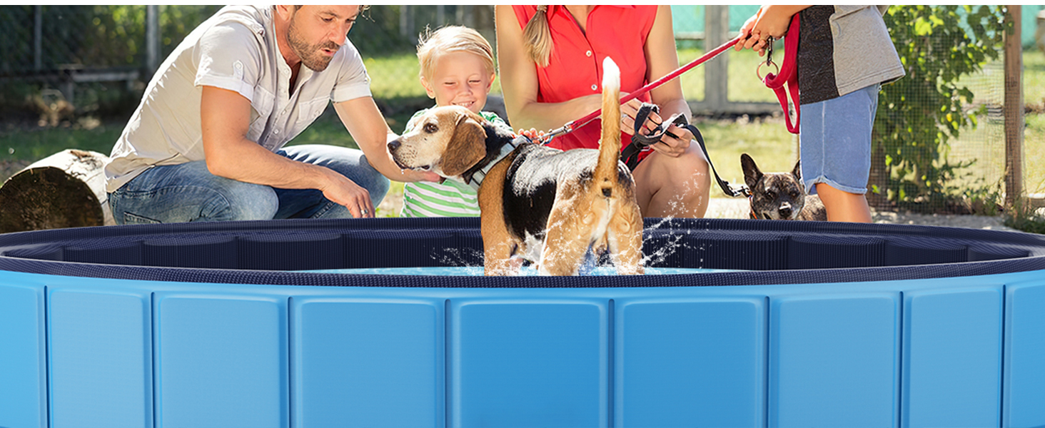 dog pool