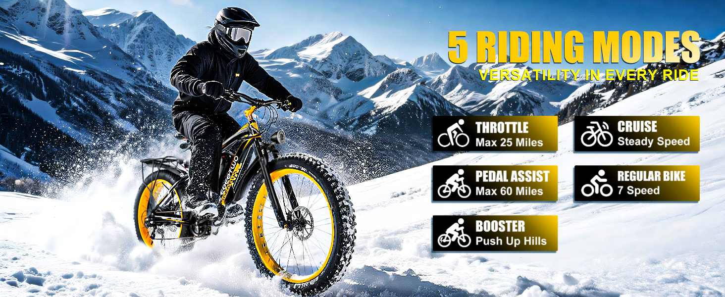 Fat Tire Ebike for Adults