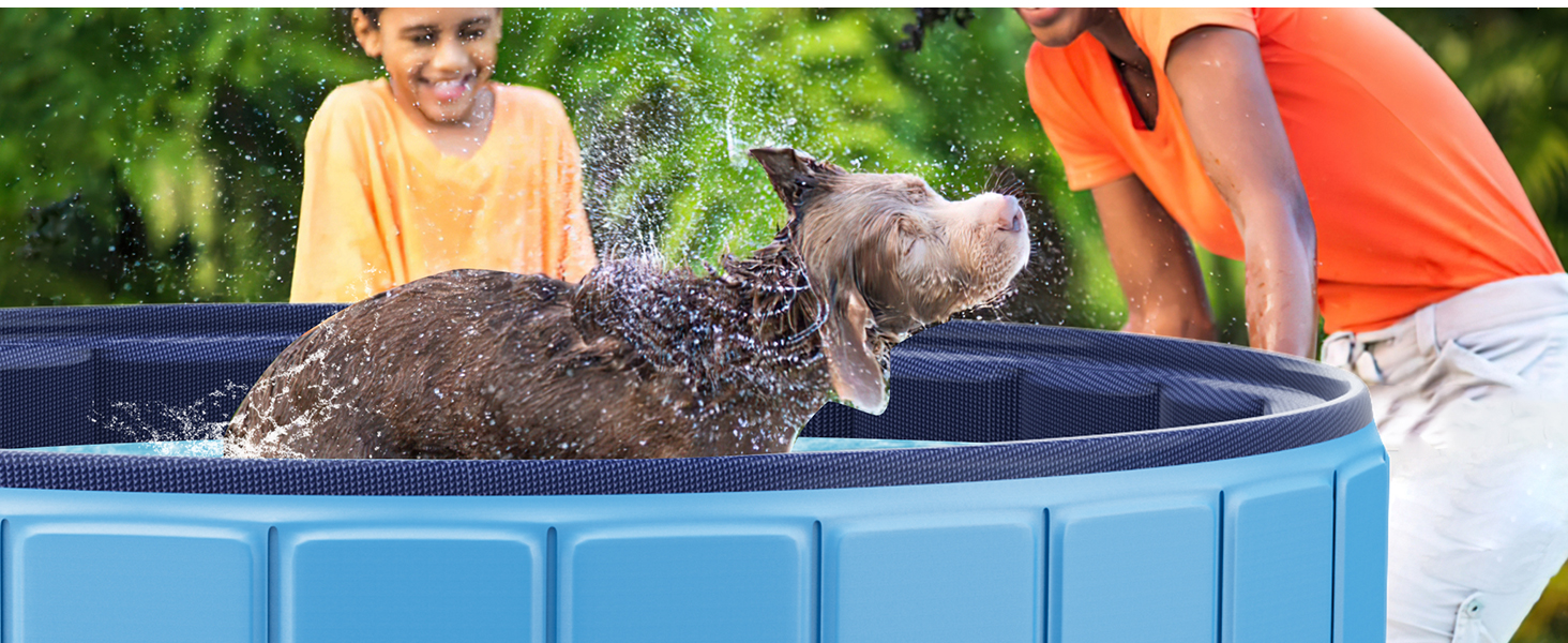 dog pool