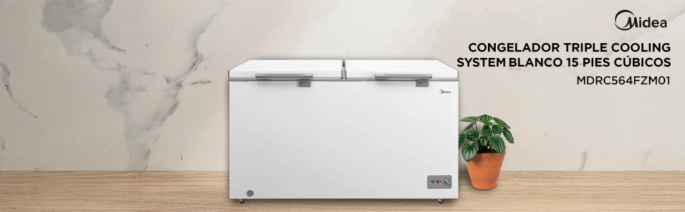 Contenido Inpage - 01