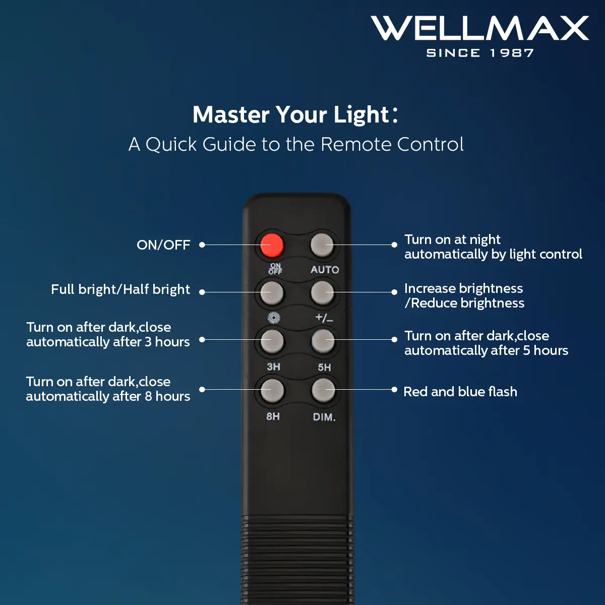 Lámpara solar de exterior WELLMAX, versión mejorada, con panel solar y mando a distancia, 6500K.