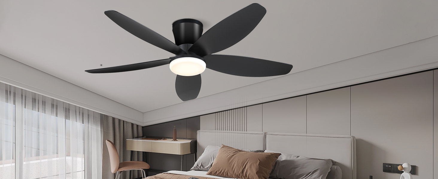 ceiling fan