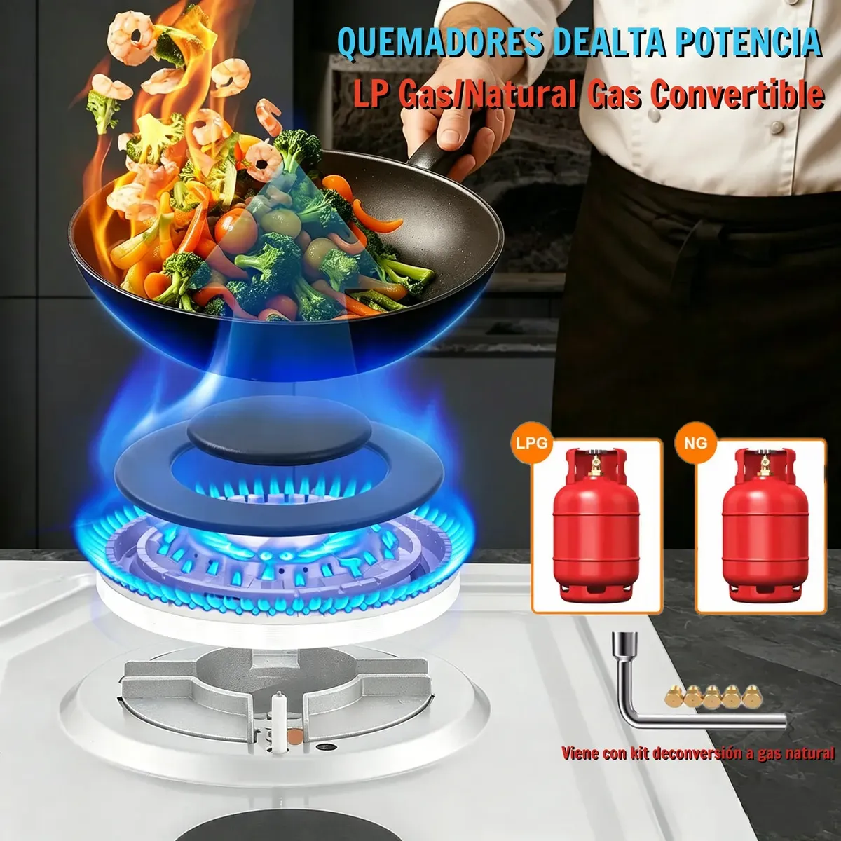 Parrilla de Gas Xiudeen Empotrable o de Mesa con 5 Quemadores en Acero Inoxidable Plateado