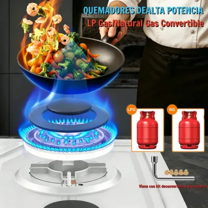 Parrilla de Gas Xiudeen Empotrable o de Mesa con 5 Quemadores en Acero Inoxidable Plateado