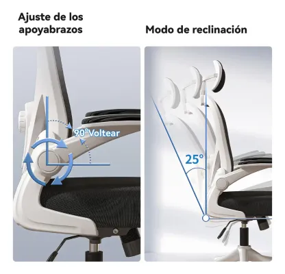 Silla Amia Ergonómica De Escritorio Oficina Soporte Lumbar Elástico Giratoria